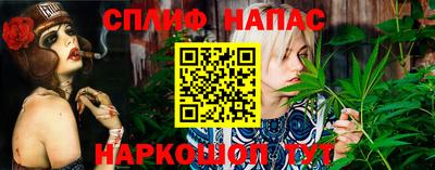 индика Кинель