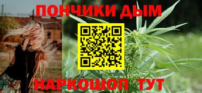 индика Кинель