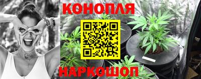 бошки Кимры