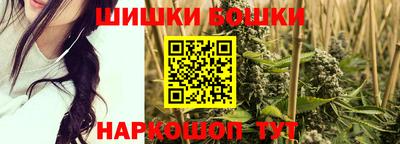 индика Кинель