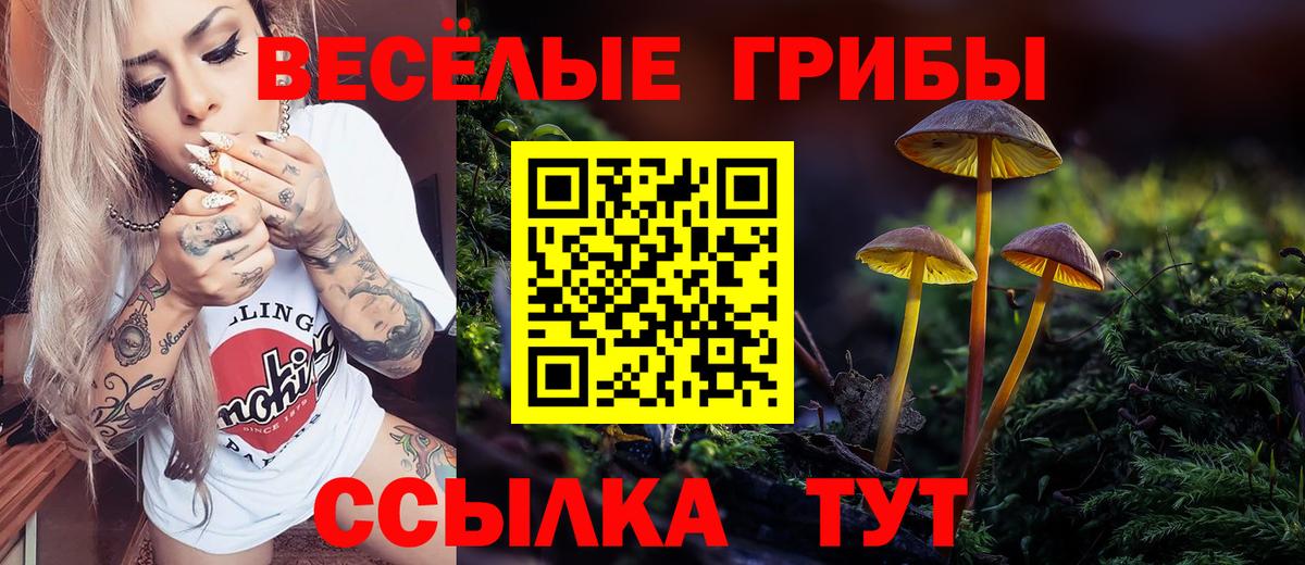 Псилоцибиновые грибы Минеральные Воды